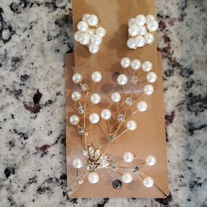 Elegant Pearls & Rhinestones Spray Brooch & Earrings